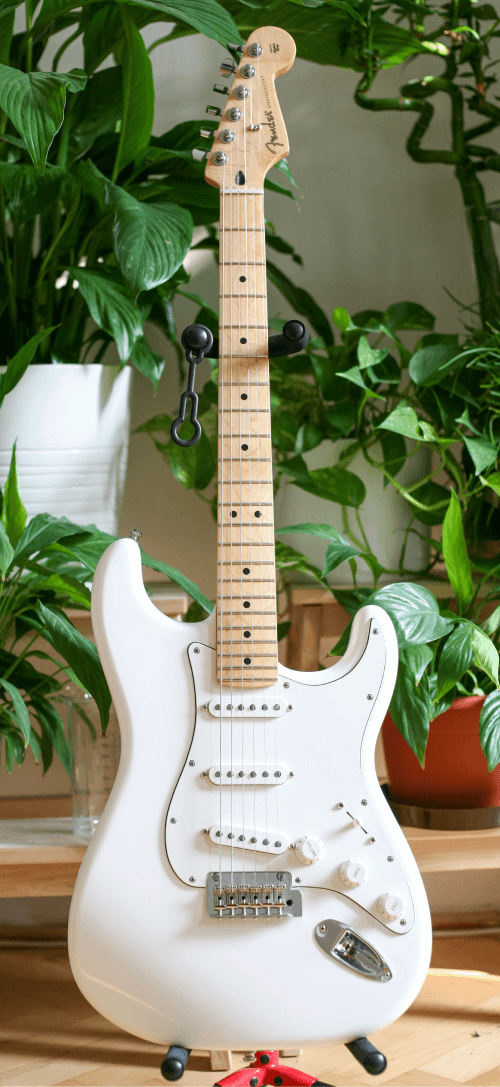Fender